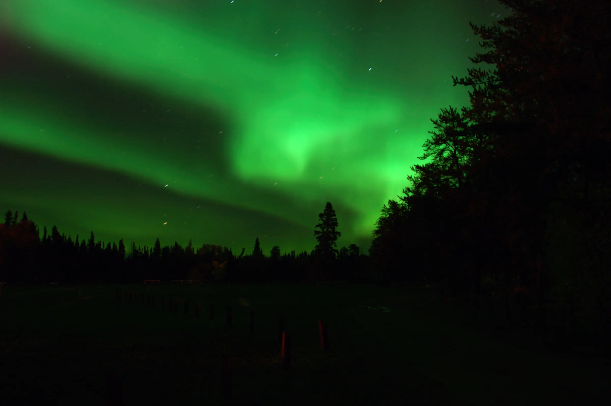 The northern lights glowing green over a rural Saskatchewan tree line at night